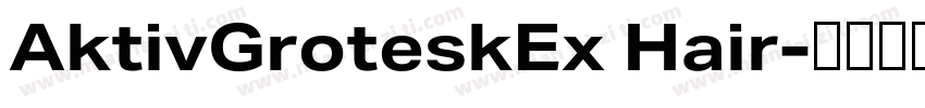 AktivGroteskEx Hair字体转换